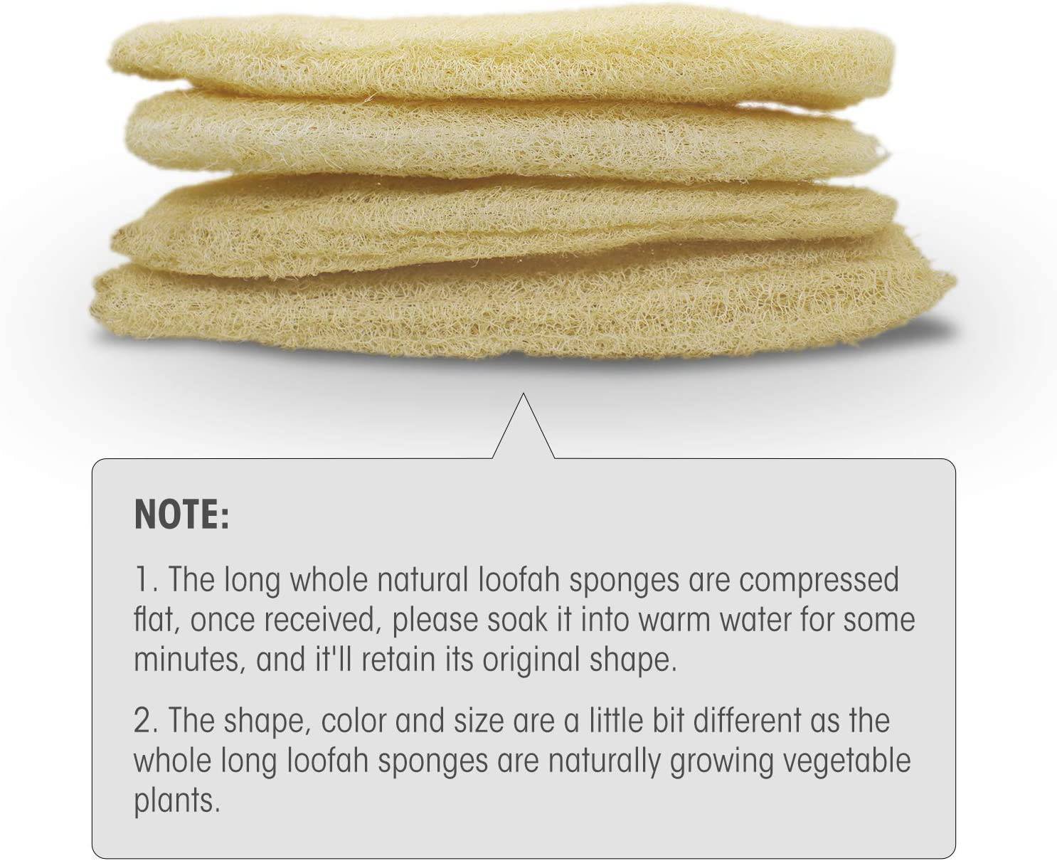 Natural Lofa Mesh For Handled Handle Exfoliating Egyptian Sponge ( 32 x  4)