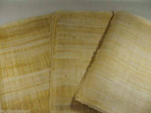 Set 20 Egyptian Blank Papyrus Paper 6x4in (10x15cm) - Ancient