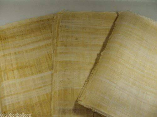 Set 20 Egyptian Blank Papyrus Paper 6x4in (10x15cm) - Ancient Pharaoh  Pharaohs Alphabets Papyrus Sheets Papyri for Art Project Scrapbooking and  School History Ideal Teaching Aid Scroll Paper