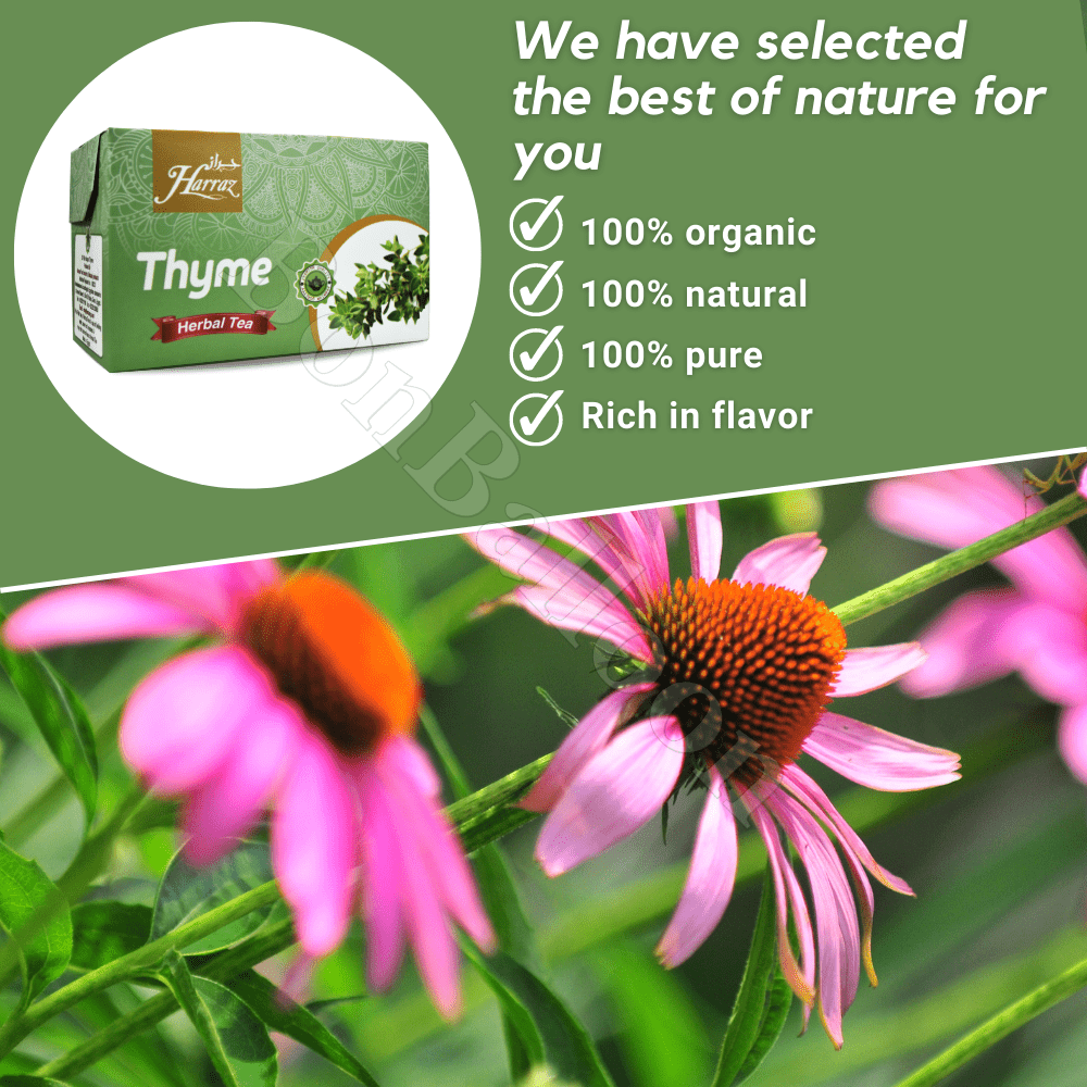 Dried Premium Harraz Thyme Tea Bags 25 Envelopes Thymus Zaatar Zatar